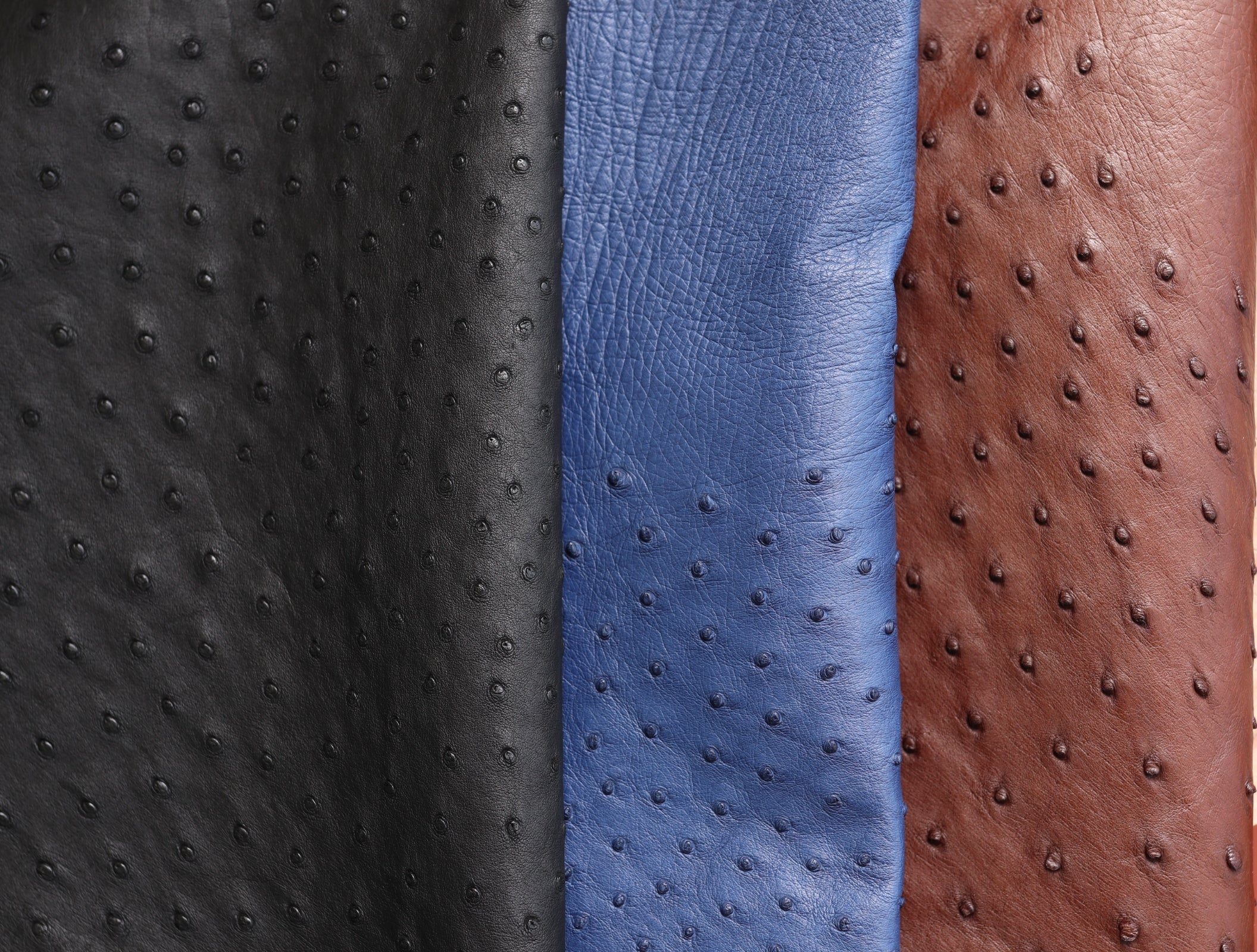 Genuine Ostrich Skin Tjcleather genuine-ostrich-skin-tjcleather